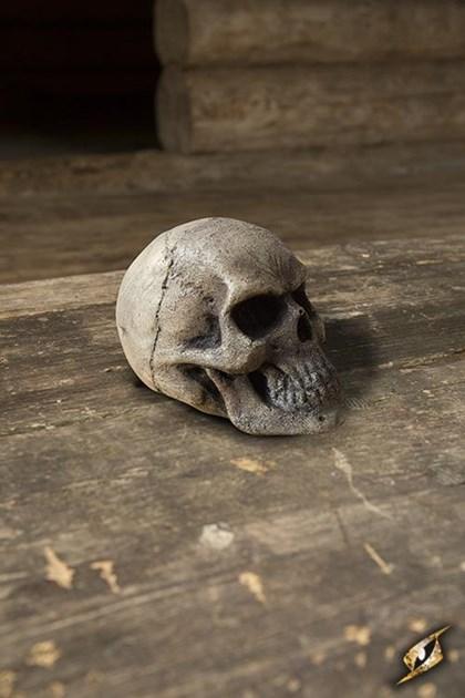 Small Skull - Bone - 0
