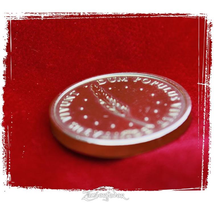 Geldschatulle mit Larp-Münzen - 7