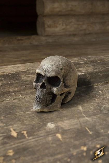 Small Skull - Bone